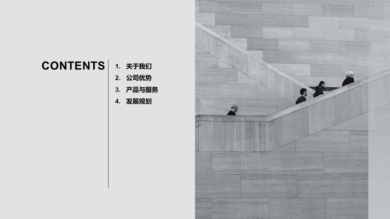 公司介绍 (21).pptx